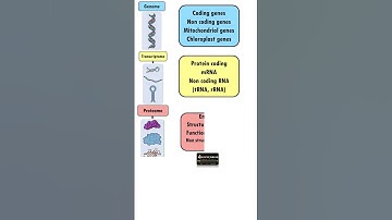 Genome, Transcriptome, Proteome and Metabolome