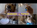 BarkBox and PupBox Reviewed: Testing Dog Box Services