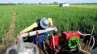 Tubewell pompa air diesel 12 pk vs ns 100, semburan mantaf