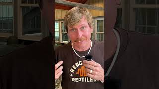 The Allure Of Nature