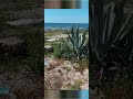 salento #travel#puglia#shortvideo
