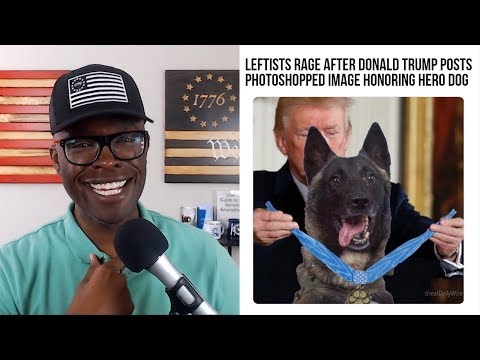 blue-check-twitter-leftists-mad-at-trump's-hero-dog-meme!