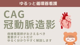 【CAG看護】重要ポイント4つ【心臓カテーテル】　