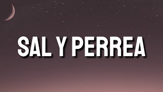 Sech - Sal y Perrea (Letra/Lyrics/Song)