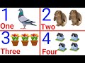 Learning 123 counting1 to 10 number ginti hindi or english me1234 counting counting 123