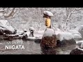 설국 니가타 눈 맞으면서 노천 온천ㅣ일본 겨울 온천 여행ㅣ일본 료칸ㅣ일본 브이로그ㅣNiigata Onsen Ryokanㅣ新潟旅行、貝掛温泉