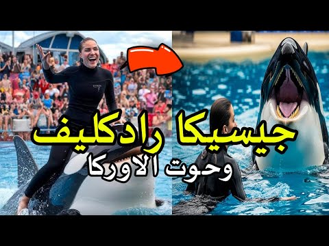 أكبر خدعة في التاريخ قصة جيسيكا و حوت الاوركا اللي هزت العالم  