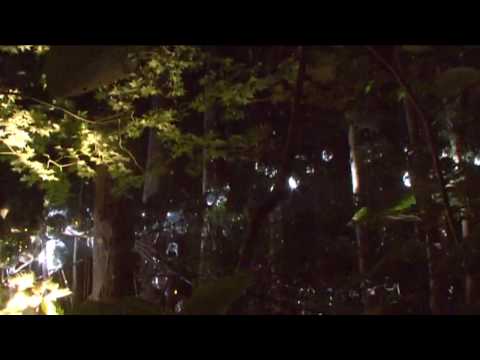 フジロック＜Documentary＞