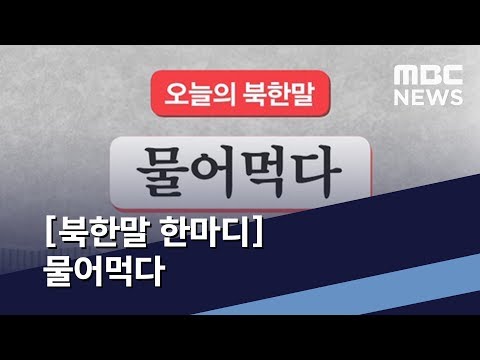 [북한말 한마디] 물어먹다 / MBC 통일전망대 (2019년 7월 27일)