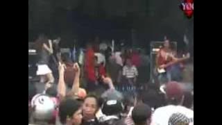 monata-arjunanya buaya