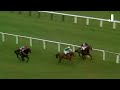WHY BE A JUMPS OR A FLAT HORSE? BE BOTH!