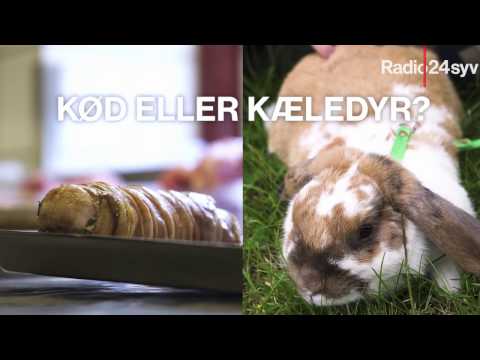 Video: Hvilken kanin til kød?