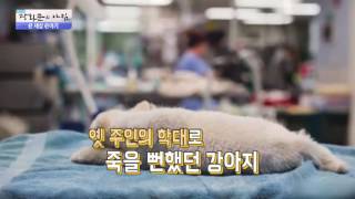 어린아이의 우정, 영화 같은 이야기! [광화문의 아침] 352회 20161107
