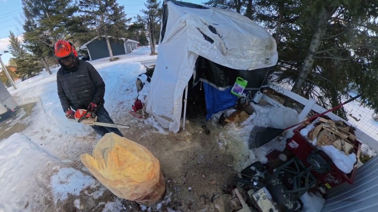 Chainsaw carving a bear 🐻  #stihl  ms261c  #beginners 