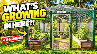 Look What’s Growing Back Here! Backyard Garden Tour   New Raised Bed