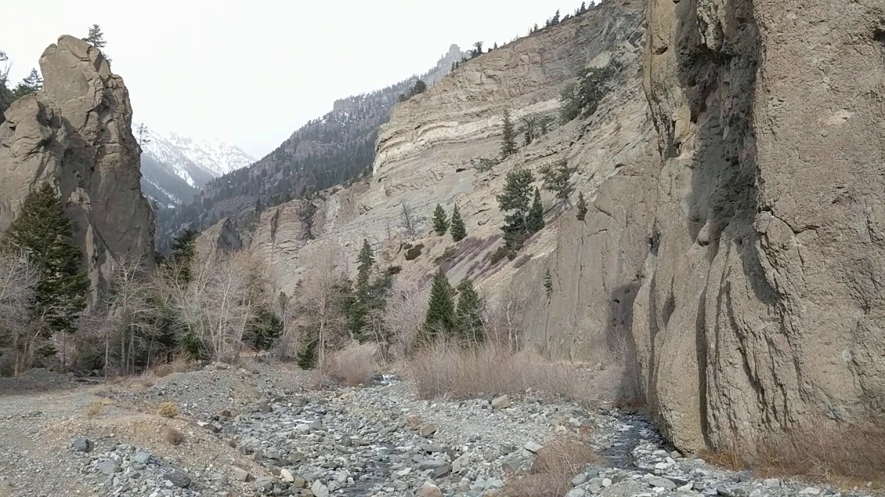 Shoshone National Forest