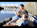 Valencia pet fiendly: Gastronomía, ciudad y naturaleza