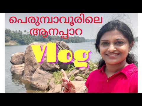 പെരുമ്പാവൂരിലെ ആനപ്പാറയിൽ കണ്ട കാഴ്ച !  Mudikkal Aanappara Vlog || Must visit Places in Perumbavoor