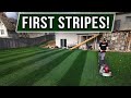 First Stripes On BLACKOUT TTTF First Stripes On BLACKOUT TTTF