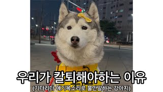 우리가 칼퇴해야하는 이유