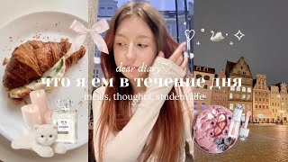 vlog: что я ем за день 🧁 будний день студента в Польше ♡