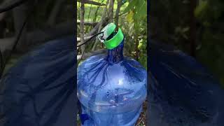 Using the water irrigation for chickens is such a great idea! This has saved my garden this summer!