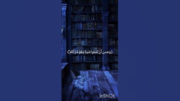 تلاوة مؤثرة وعسى أن تكرهوا شيئاً وهو خير لكم #اكسبلور#قرآن_كريم#اسلاميات#راحة_نفسية#اطمئنان