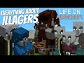 Everything about the Illager in Minecraft: Pillagers Vindicators Evokers & more (Life on Minecraft)