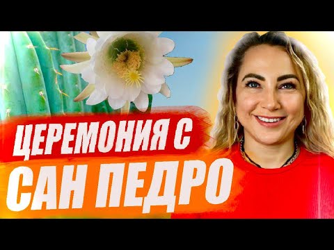 Церемония с Сан Педро| Что это такое и как проходит церемония?