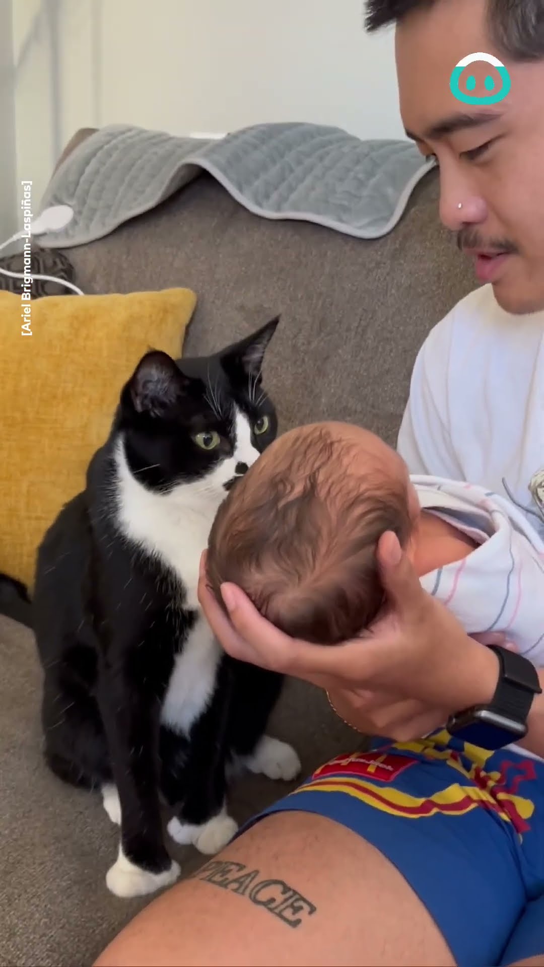 Super Gentle Cat Meets Newborn || ViralHog