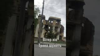 Вітер віє, трава шумить #ukraine