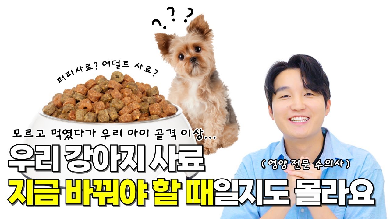 강아지 사료 언제 바꿔야 할까?