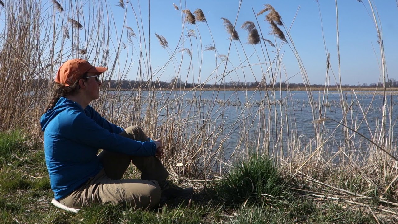 Local Microadventures EP2 | Stawy na Śląsku Cieszyńskim - wycieczka rowerowa