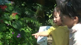 20081004 122529