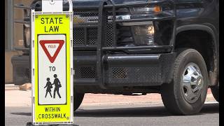 WYDOT Report - Pedestrian Safety