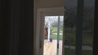 Santa Teresa Lemon Tree In Container Update. 1042022