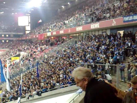 koeln schalke koeln schalke