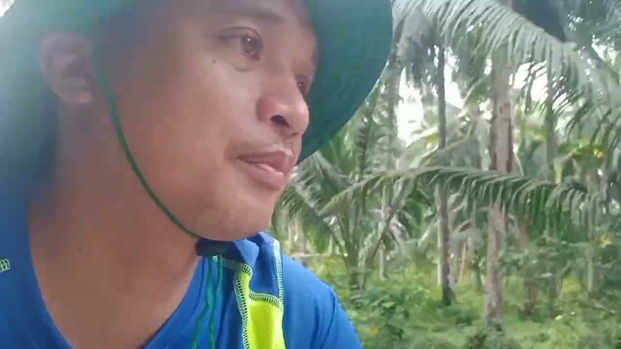 BIKING UNDER THE COCONUT PLANTATIONS