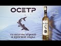 «Осётр» со вкусом икры. Прикол, или наш ответ «Белуге»?..