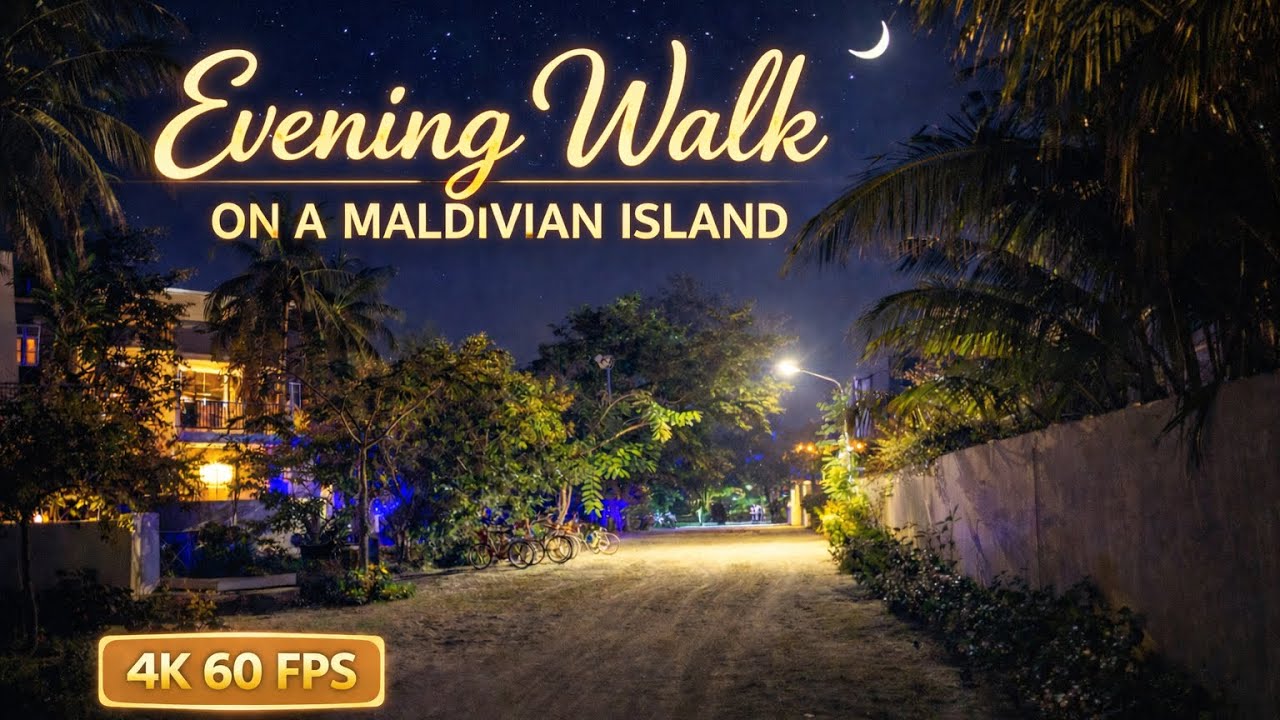 Thoddoo Maldives - Walking Tour at February 2026 4k 60fps