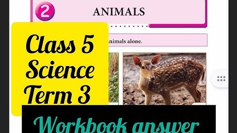 Ennum Ezhuthum 5th standard term 3 science unit 2 Animals workbook answer Englishmedium2024.