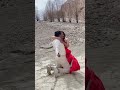 Kamal Khatri - New Song Timi Aaya Pachhi #music #song #bts