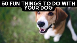 50 Fun Things to do with your Dog