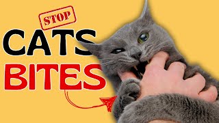 10 Surprising Reasons Your Cat Bites – #9 Will Shock You! 🐱✋🏻