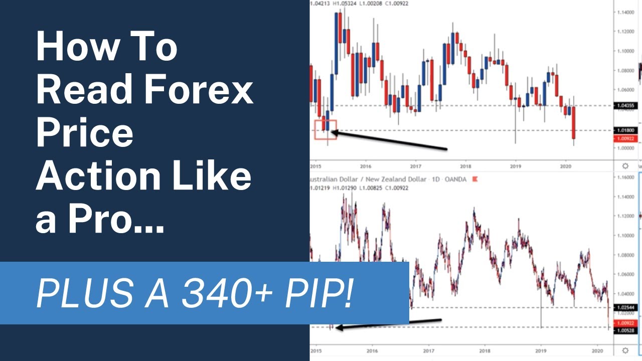 How To Read Forex Price Action Like a Pro..Plus a 340+ Pip Trade - YouTube
