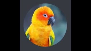 Automate Google Search using Python screenshot 2