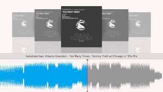 Italodisko feat. Alberto Grandoni - Too Many Times - Tommy Theft at Chicago in &#39;93s Mix