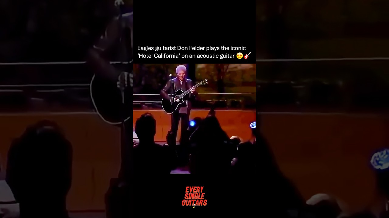 This Is What a Perfect Guitar Solo Sounds Like 🎯🎶 #guitar