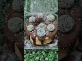 Pedidos de ontem gente.Esse mês de janeiro é parado.