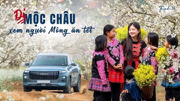 Kỳ lạ cách người Mông đón Tết ở bản Tà Số - Mộc Châu: Tết cực to, dài cả 1 tháng | Tripdi 16